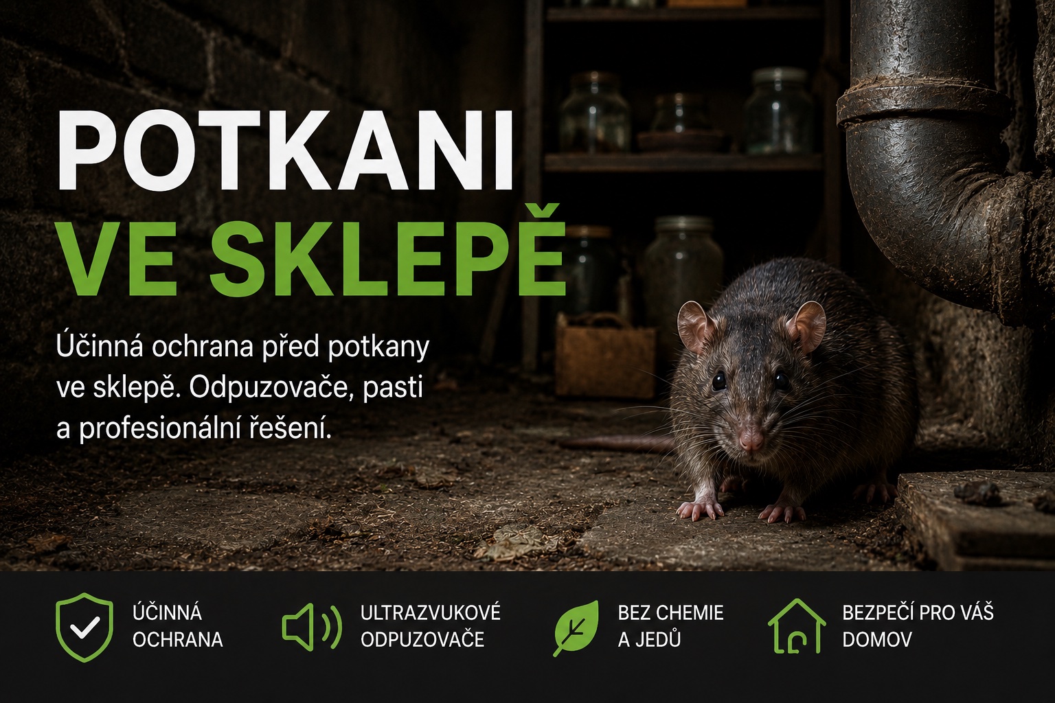 Řešení proti potkanům ve sklepě
